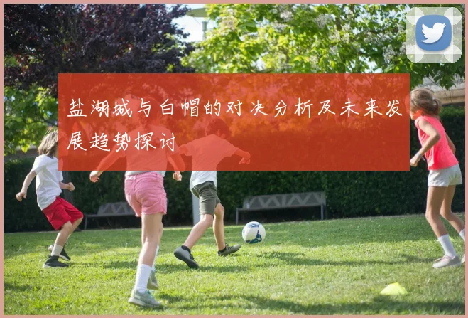 盐湖城与白帽的对决分析及未来发展趋势探讨