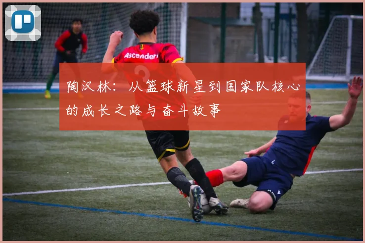 陶汉林：从篮球新星到国家队核心的成长之路与奋斗故事