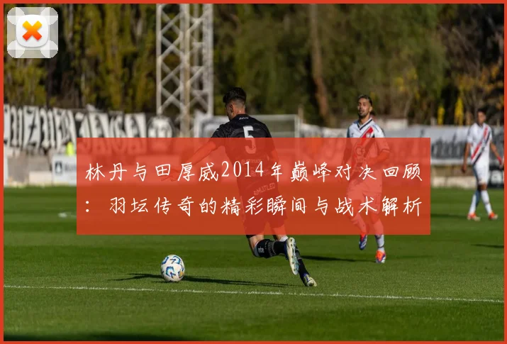 林丹与田厚威2014年巅峰对决回顾：羽坛传奇的精彩瞬间与战术解析