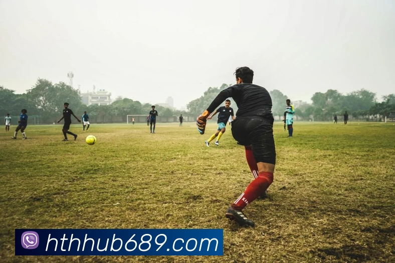 华体会体育APP 封面图